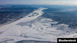 Сибирская тайга