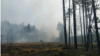 Падчас пажару 8 красавіка, фота з сайту Мінлясгасу