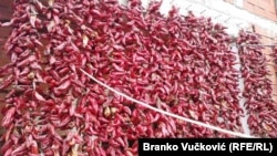 Red peppers in Lokosnica