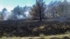 Поліція повідомила про загибель двох людей унаслідок загоряння сухостою