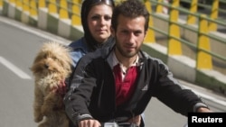 Iran -- A dog rides with a couple on a motorcycle in Tehran, 12May2011