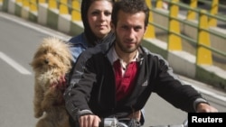 A dog makes his getaway in this file photo from Tehran.