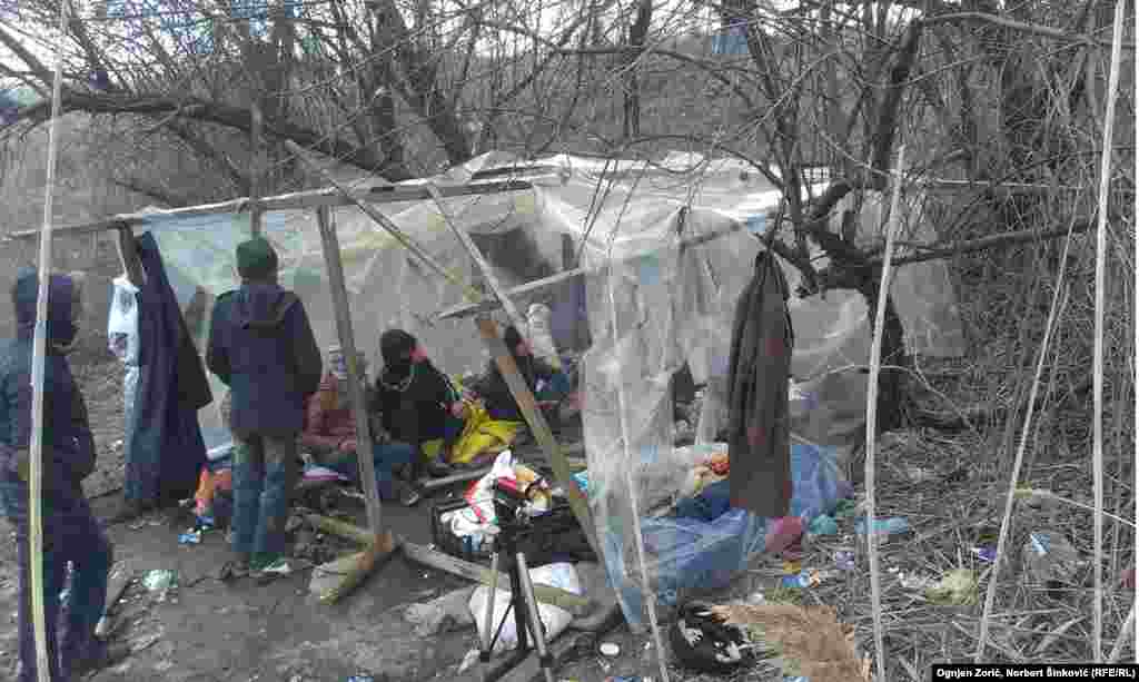 Migranti u divljem kampu