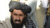 ملانذیر، فرمانده ارشد طالبان پاکستان، در حمله هوایی آمریکا کشته شد