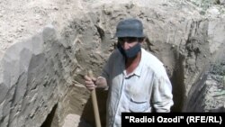 Бозорали Нозимов