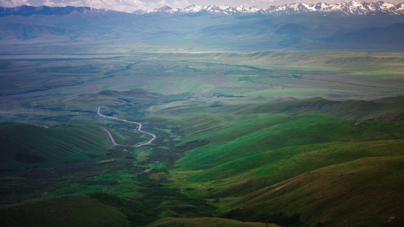 Кыргызстанда 264 миң гектар жайыт жараксыз абалга кептелди