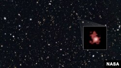 Hubble photo of GN-z11 (NASA)