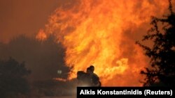 GREECE -- Two men and a dog on a motorbike flee a wildfire burning near the village of Varnavas, north of Athens, August 14, 2017