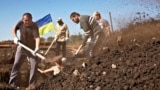 На границе с Россией украинские добровольцы роют рвы и окопы