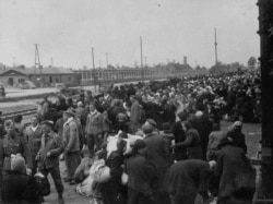 Прибуття нового етапу в'язнів до Аушвіцу-Біркенау. 26 травня 1944 року