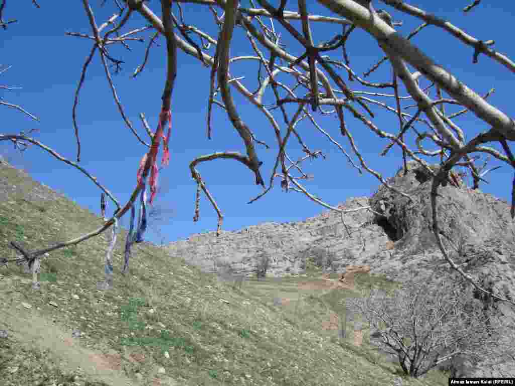 Есть поверье, что если завязать ленту на миндаль, который в изобилии растет на склонах Сулейман-Тоо, сбудется любое желание.