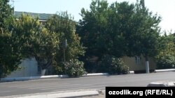 Улица в Ташкенте 