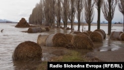 Поплавите во најголемата житница во Македонија, Пелагонија, оштетија илјадници хектари со пченица.