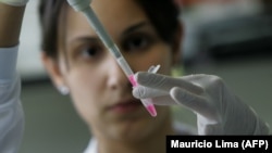 A scientific researcher extracts the RNA from embryonic stem cells in a laboratory.