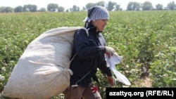 It's estimated that around 1 million people are forced into Uzbek fields each year to pick cotton.