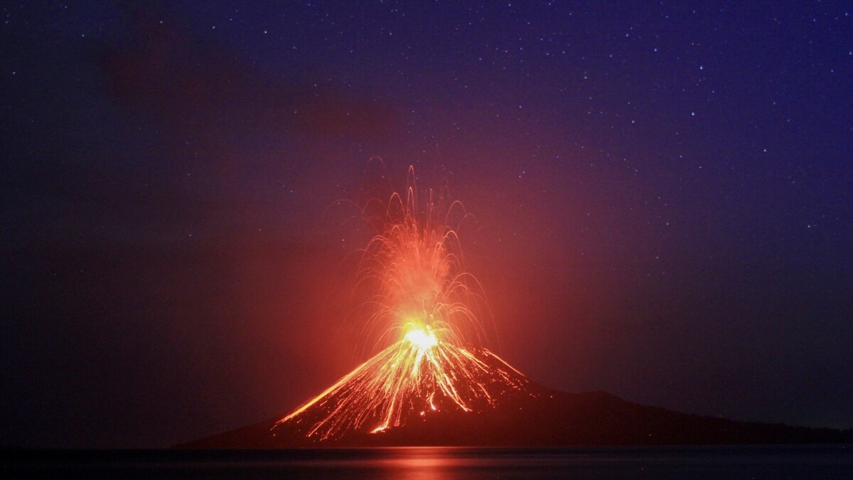 Photos Of The Week #29