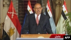 Եգիպտոսի Ազգային փրկության ճակատի ղեկավար Մոհամադ ԷլԲարադեյի հուլիսի 3-ի ելույթը նախագահ Մոհամադ Մուրսիի պաշտոնանկության առիթով