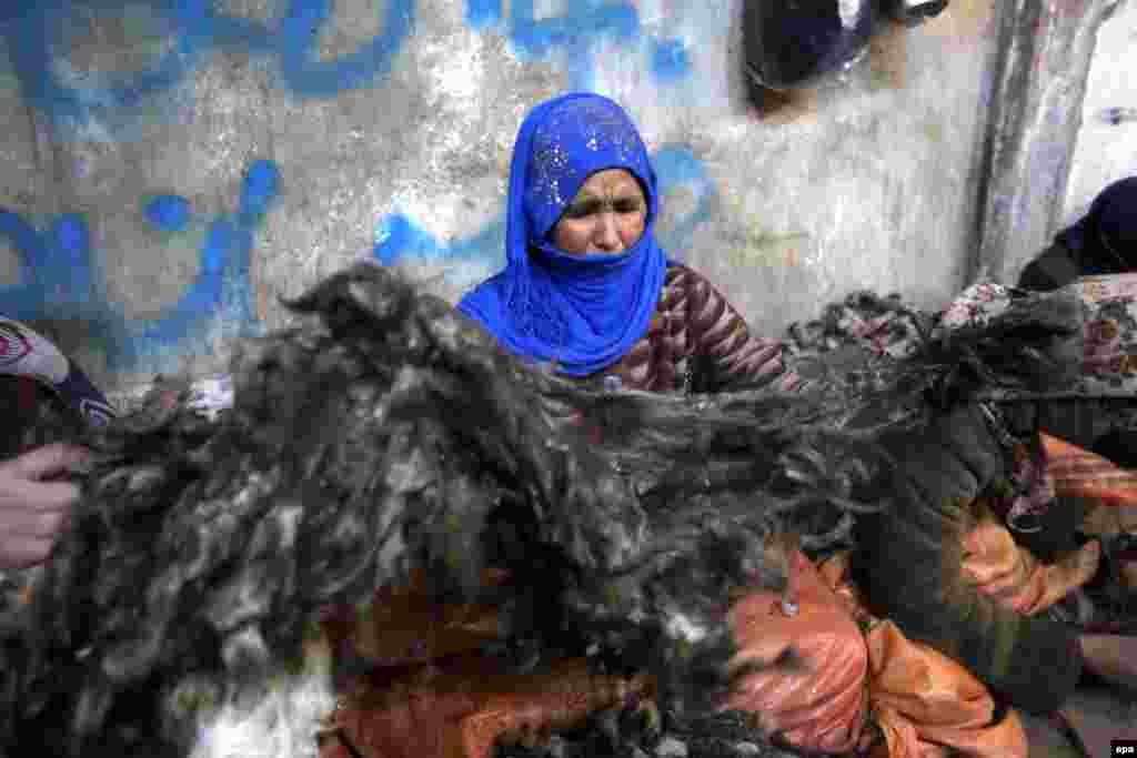 An Afghan woman separates fur from goats' hair at a wool factory in Herat without the aid of protective gloves or masks. A lung and chest diseases specialist at Herat city hospital says workers in fur and wool factories are vulnerable to virulent microbes that harm the respiratory system and cause chest infections. (epa/Jalil Rezayee)