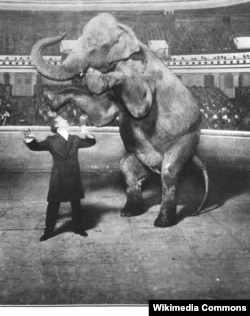 Фокус Гудини с исчезающим слоном, Нью-Йорк, 1918