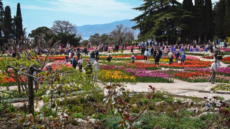 Никита в цвету: Парад тюльпанов в ботаническом саду (фотогалерея)