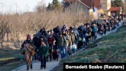Migrantët në Serbi drejt kufirit me Hungarinë - Foto nga arkivi