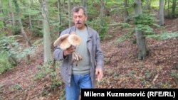 Ivanin otac, biolog Predrag Peca Petrović, u berbi gljiva.
