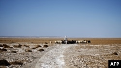 FILE: A shepherd in Iran's southeastern province of Sistan-Baluchistan