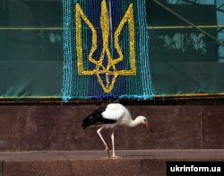 Лелека прогулюється в центрі Харкова на Площі Свободи біля підніжжя демонтованого пам’ятника Леніну. Харків, 2015 рік.