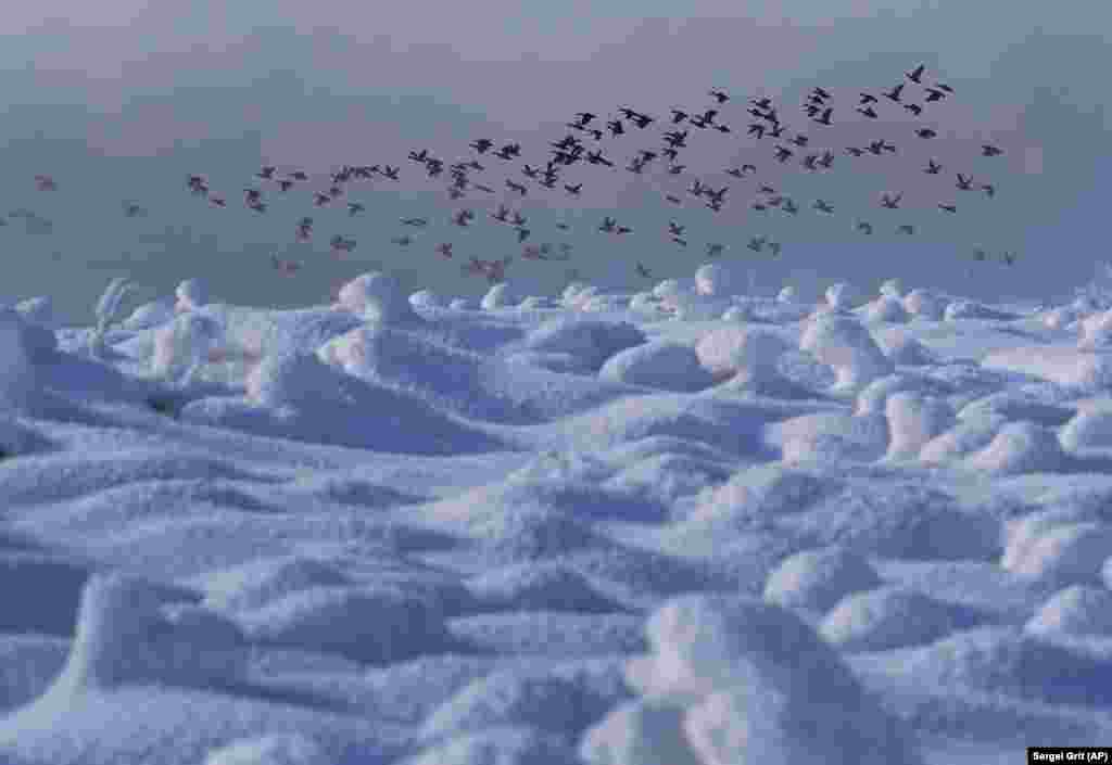 Ducks take off from a pond on a cold winter&#39;s day near the village of Druzhnyi, 35 kilometers southeast of Minsk. (AP/Sergei Grits)