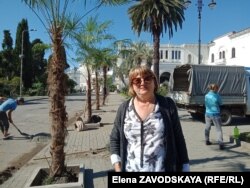 Елена Атепина считает, что популяцию городских пальм удалось спасти