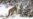 leopard-bars-snow leopard