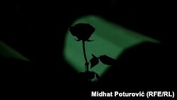 Гроб с останками 71 человека, убитых в Сребренице, перезахоронение в Поточарах, 07.17