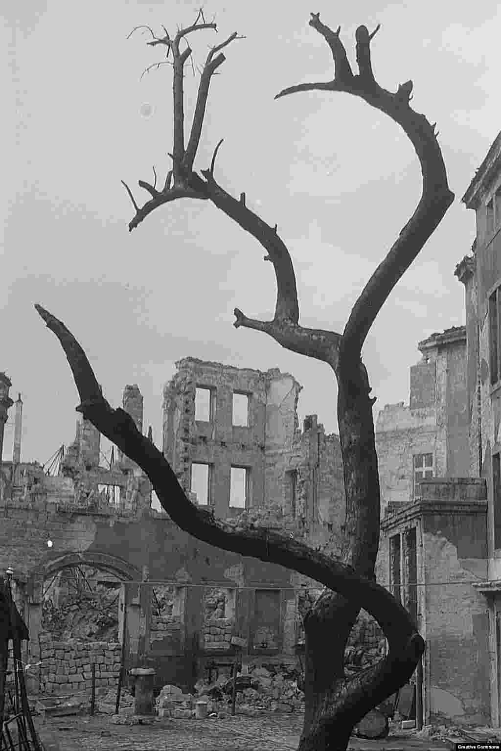 British Prime Minister Winston Churchill appeared to have misgivings after the results of the bombing were relayed to London. In March 1945, Churchill wrote, "It seems to me that the moment has come when the question of bombing of German cities simply for the sake of increasing the terror, though under other pretexts, should be reviewed." 