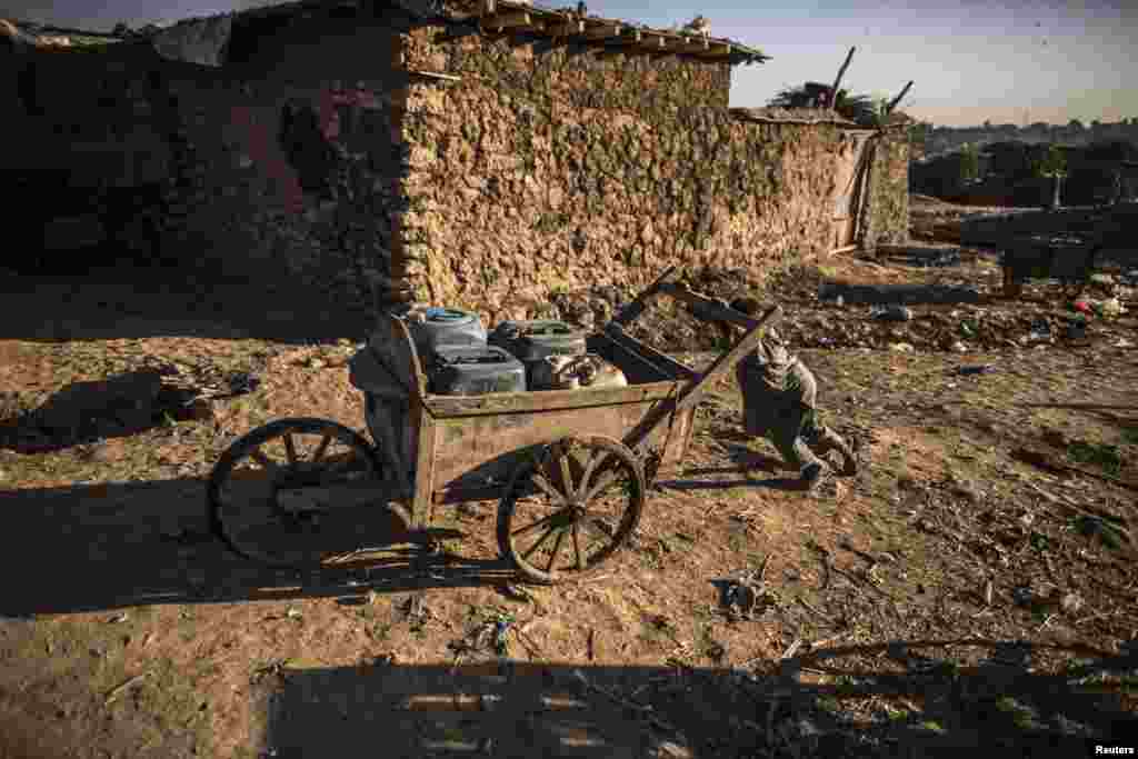 A Pakistani boy wheels a cart in a slum on the outskirts of Islamabad. His family fled the military operations in the western tribal areas. (Reuters/Zohra Bensemra)