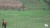 16x9 Image