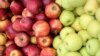De ce s-au redus drastic exporturile de mere moldovenești  