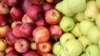 Польскія СМІ: Экспарт польскіх яблыкаў у Беларусь вырас на 98%