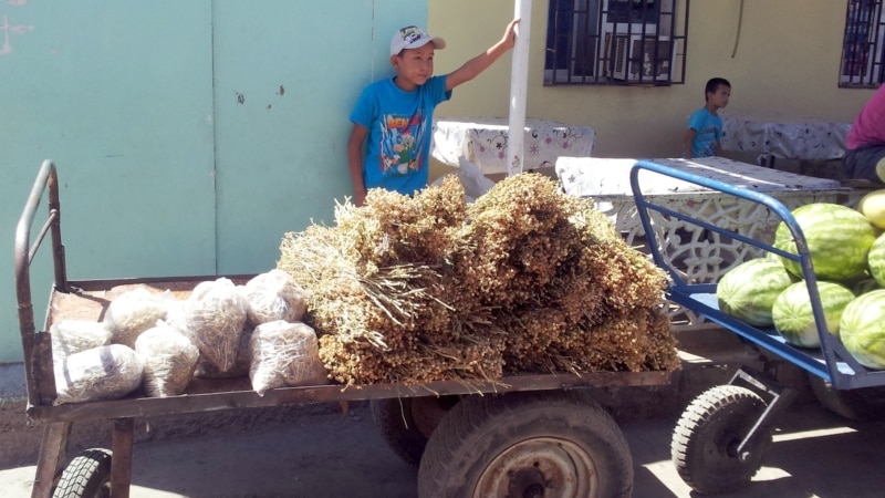 Tomusky dynç alşyň başlanmagy bilen, bazarlarda gazanç we dilegçilik edýän çagalar köpeldi
