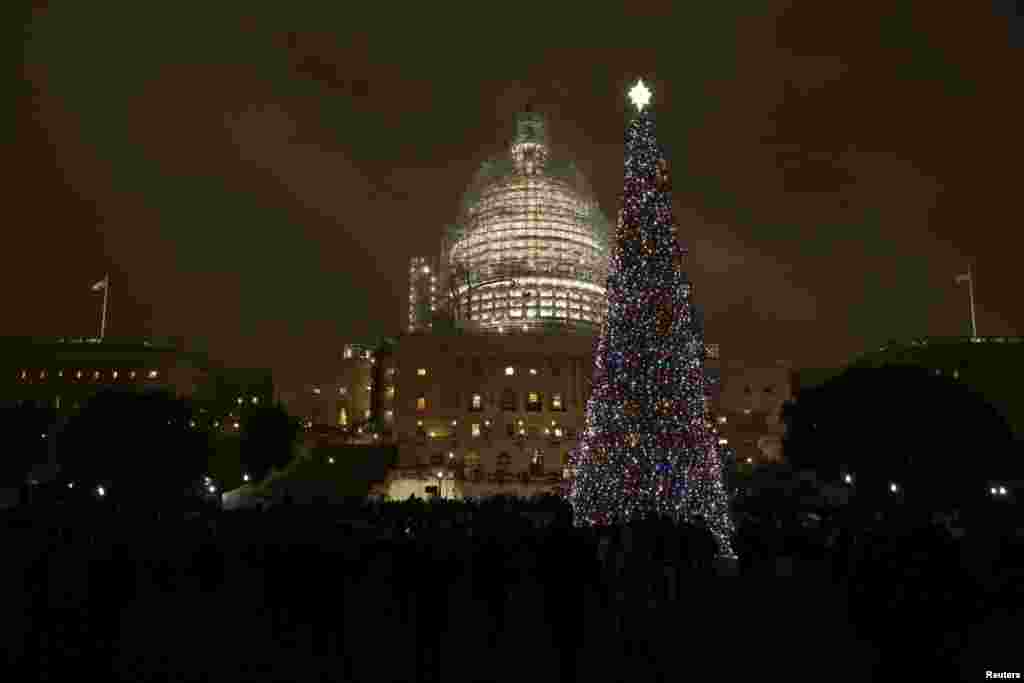 Капитолийская рождественская елка в Вашингтоне