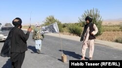 آرشیف، جنگجویان طالبان در کندهار
