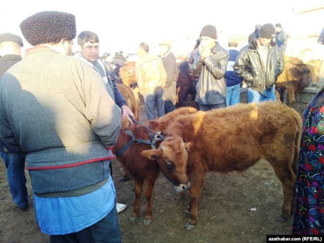 Продажа животных на рынке в Марыйском велаяте.