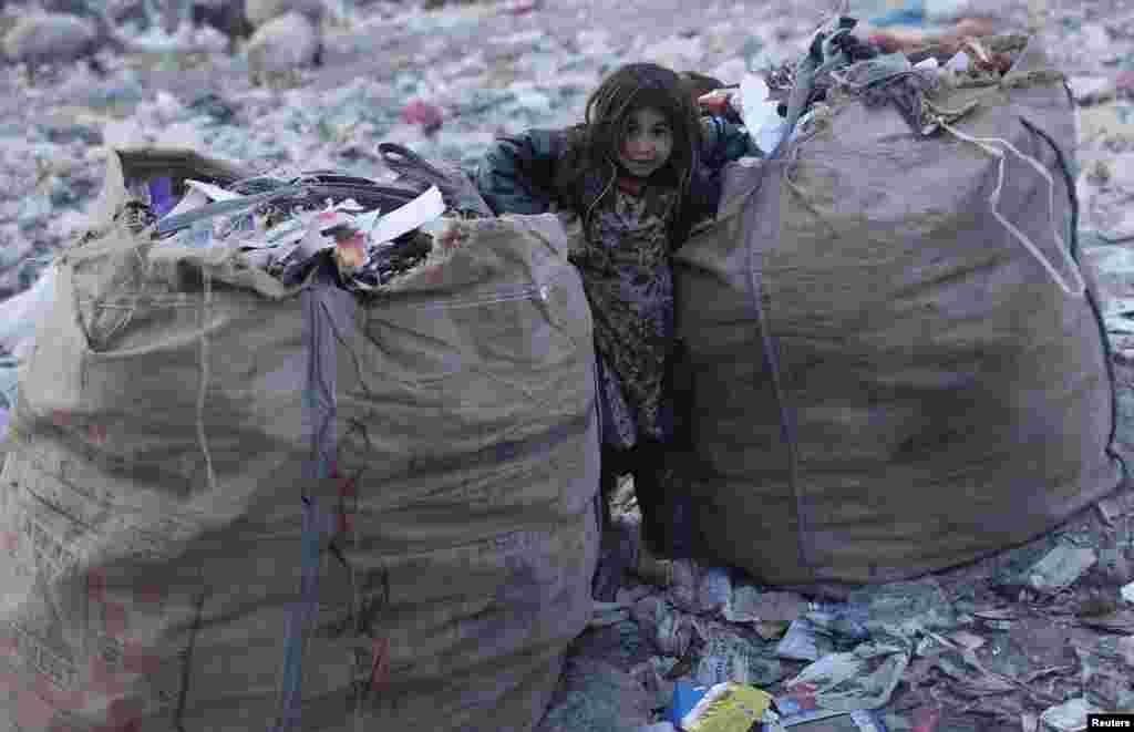 A young garbage collector stands between sacks of refuse in a dump on the outskirts of Kabul. (Reuters/Adnan Abidi)