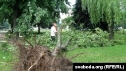 Бэнзапільшчыкі з Чырвонай гвазьдзікі