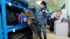 Россия: мигранты под давлением?