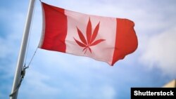 List marihuane na zastavi Kanade