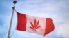 Լուսանկարում Կանադայի պետական դրոշի վրա թխկու տերևը փոխարինված է կանեփի տերևով
