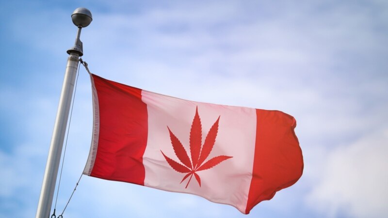 Kanadaja legalizon përdorimin rekreativ të kanabisit