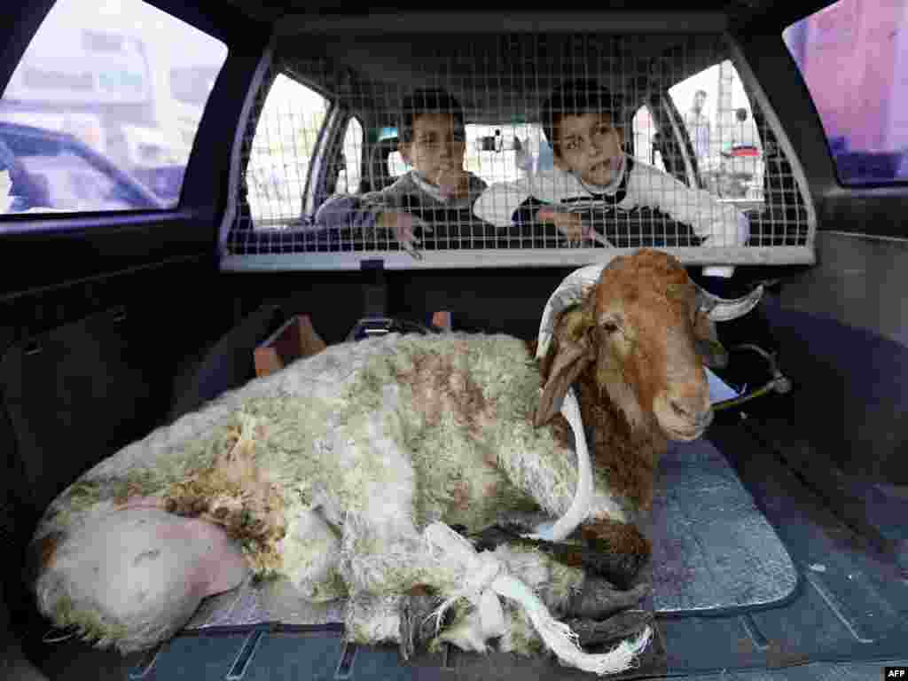 Палестынскія дзеці з ахвярнай жывёлінай - Фота: AFP