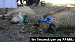 На Курбан-байрам принято закалывать животных, принося их в жертву Богу. Мясо едят сами и раздают нуждающимся (садака)