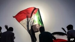 Судандын желегин желбиреткен демонстранттар.
